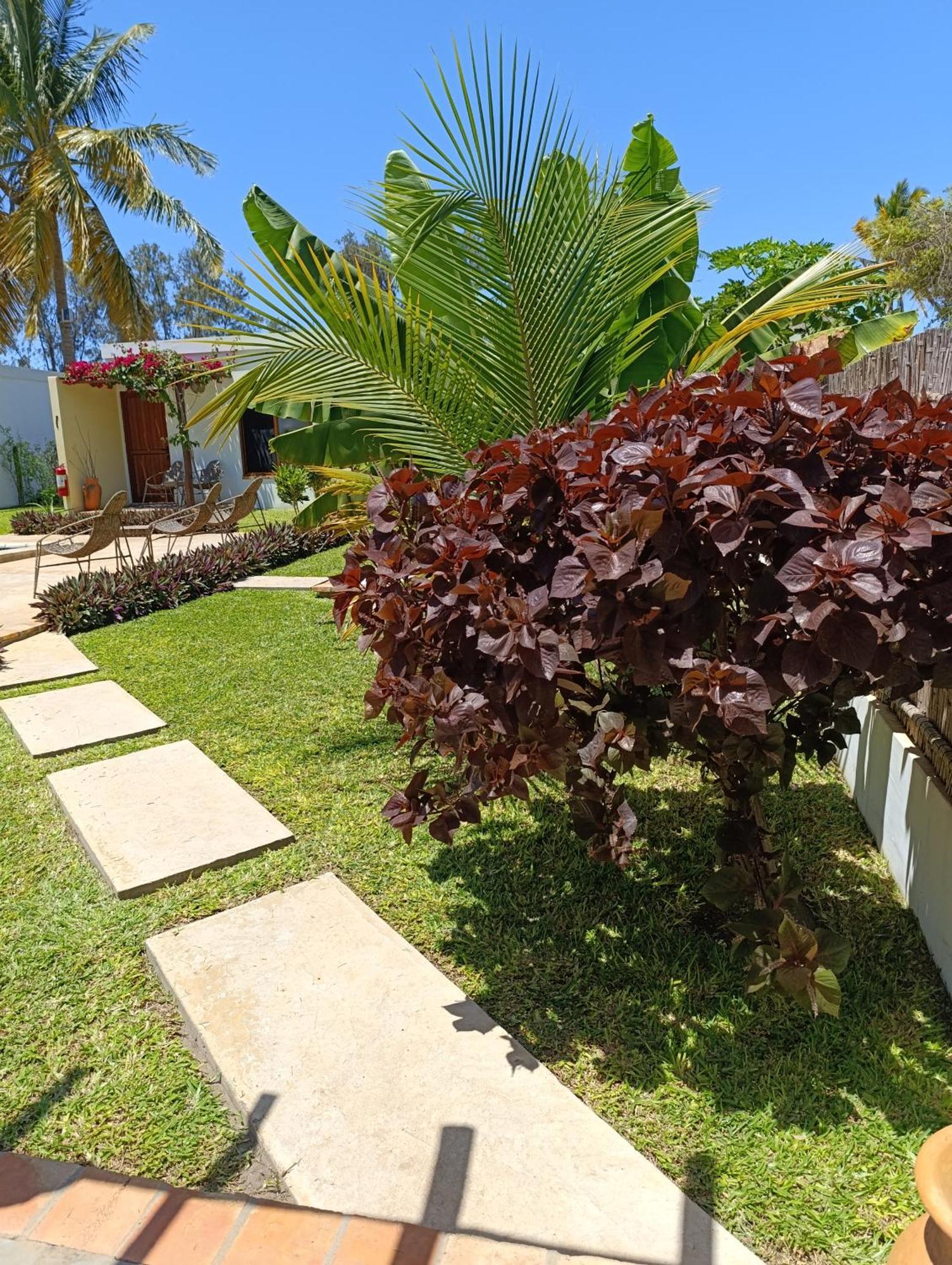 וילנקולוס Telvina Beach Lodge מראה חיצוני תמונה