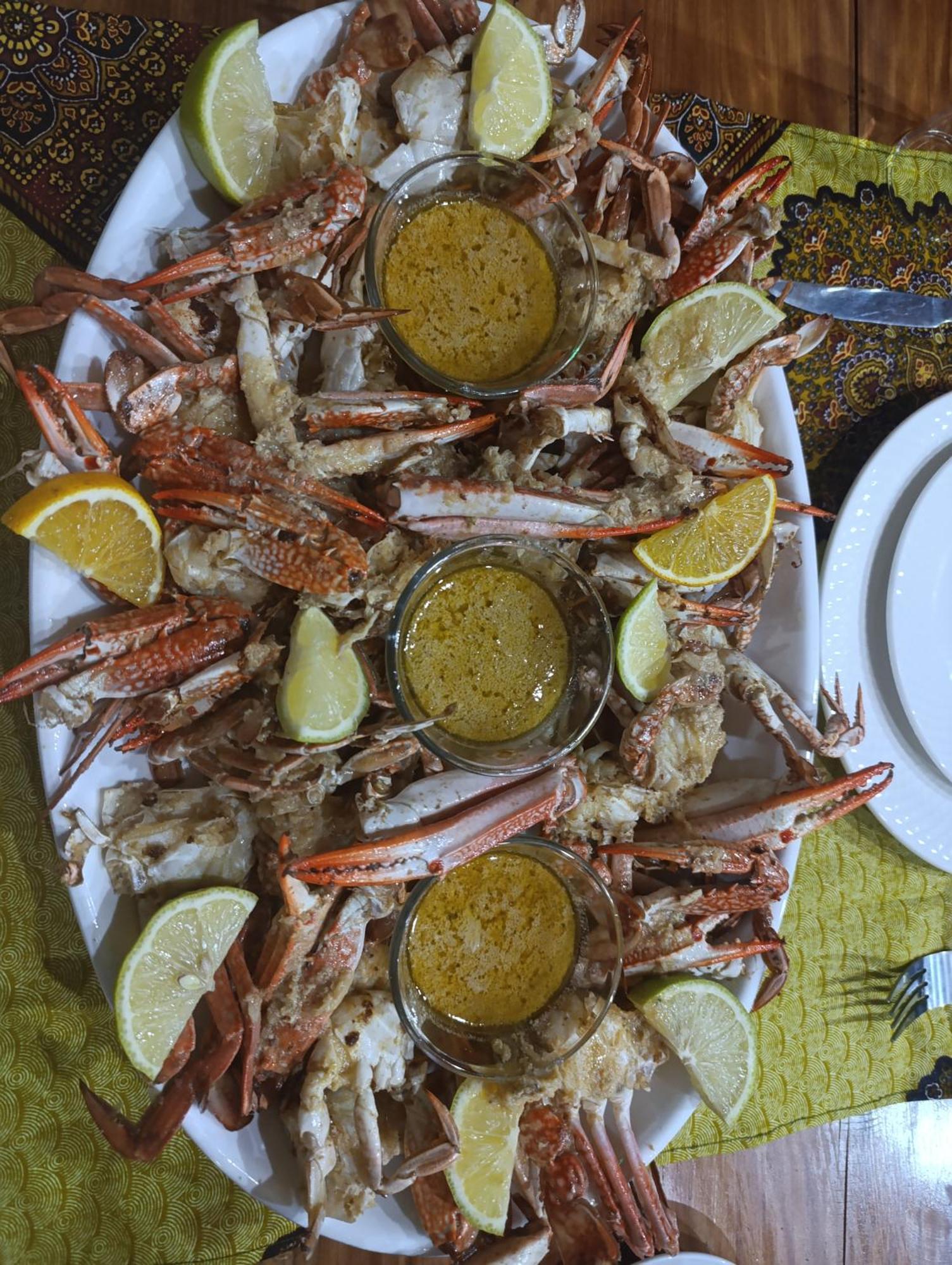 וילנקולוס Telvina Beach Lodge מראה חיצוני תמונה