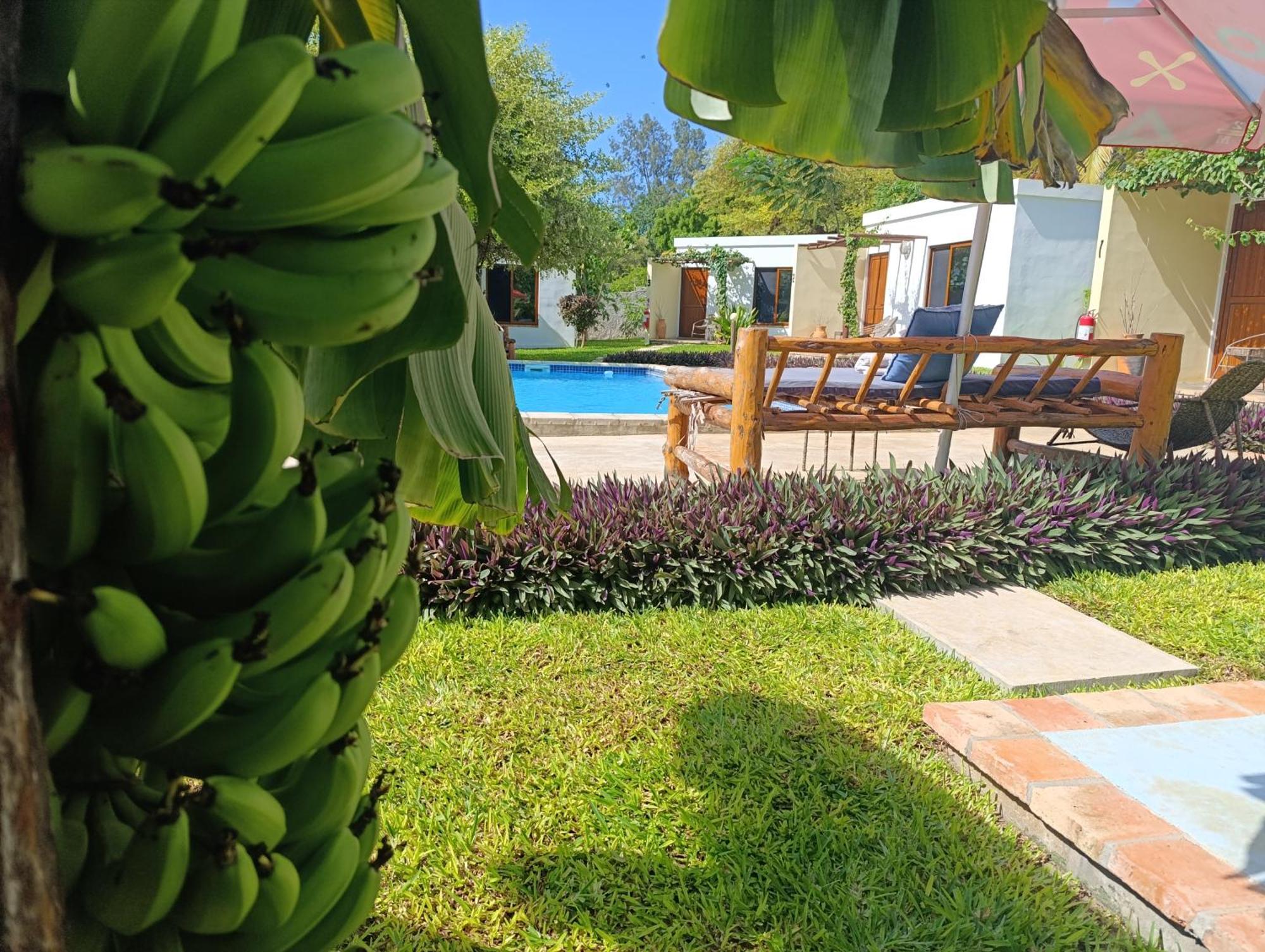 וילנקולוס Telvina Beach Lodge מראה חיצוני תמונה